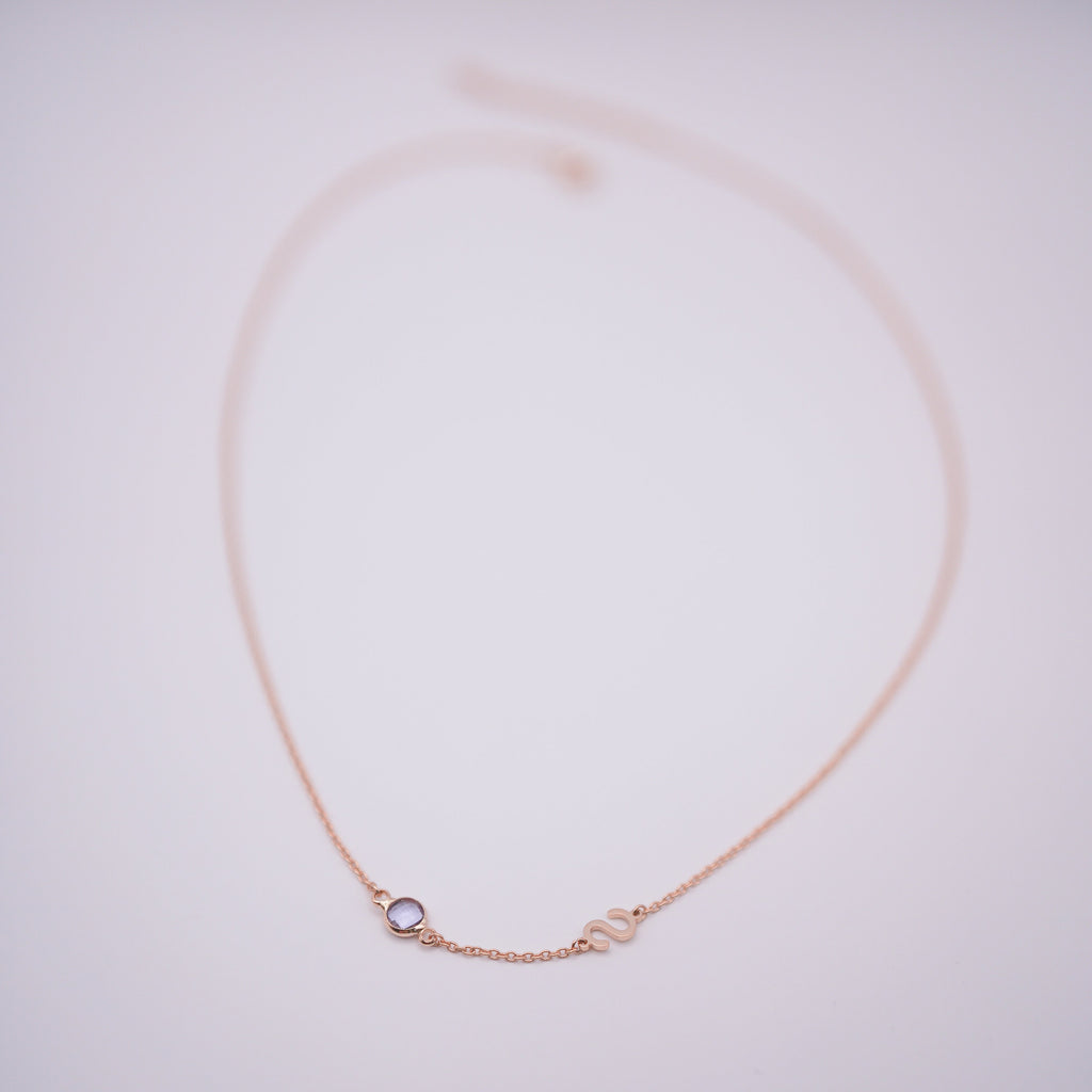 Personalized Birthstone Alphabet Necklace